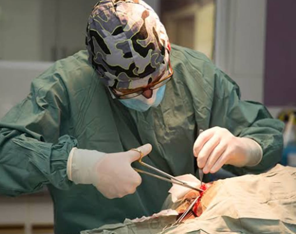 WhatsApp Image 2025-08-29 at 16.22.50 (1).jpeg